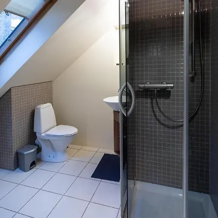 Apartment Old Town Charm One Bedroom Spacious Loft Nearby The Livu Square *