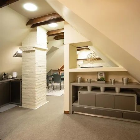 Old Town Charm One Bedroom Spacious Loft Nearby The Livu Square Apartment *