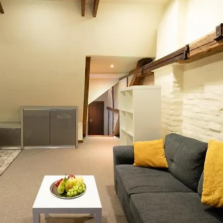 Old Town Charm One Bedroom Spacious Loft Nearby The Livu Square Riga