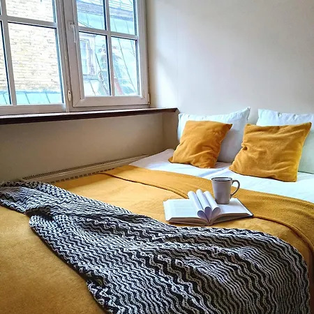 Old Town Charm One Bedroom Spacious Loft Nearby The Livu Square