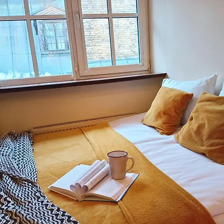 Apartment Old Town Charm One Bedroom Spacious Loft Nearby The Livu Square *