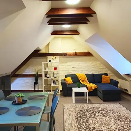Old Town Charm One Bedroom Spacious Loft Nearby The Livu Square Apartment